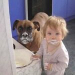 Il cane ha il muso sporco, la bambina anche: il papà guarda la ciotola e scopre cosa manca