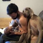 Arriva un bambino, il cane resta: la dedica alle famiglie che pensano di separarsene