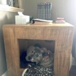 «Non volevo un cane»: a 73 anni passa tre weekend in garage a costruire una cuccia per Daisy