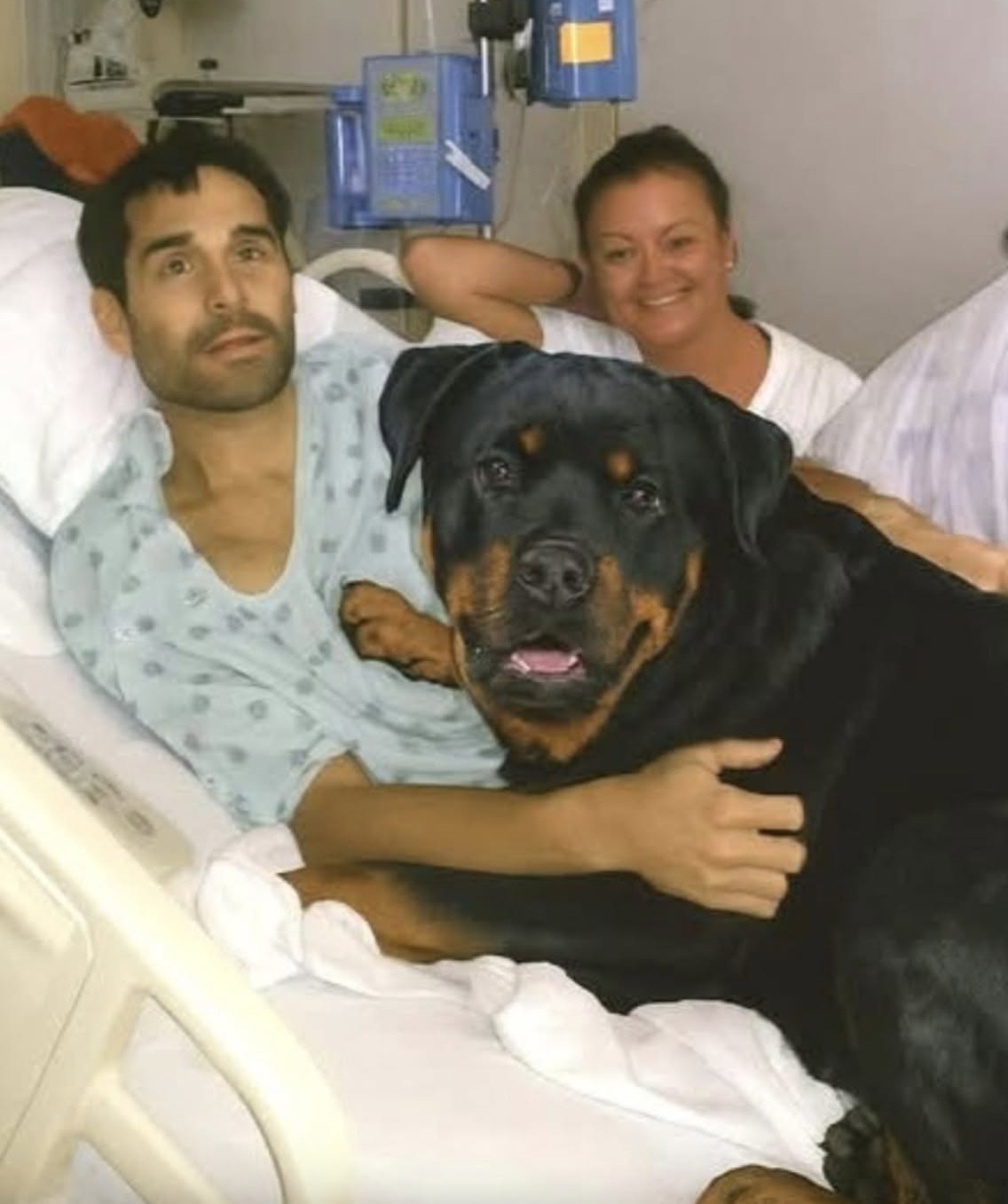 Pioggia e freddo non allontanano il Rottweiler dall'ospedale: finalmente può entrare nella stanza